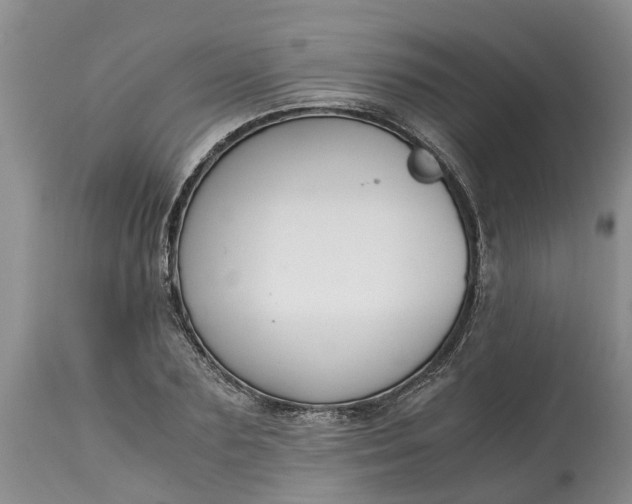 X0000115000883200911091355