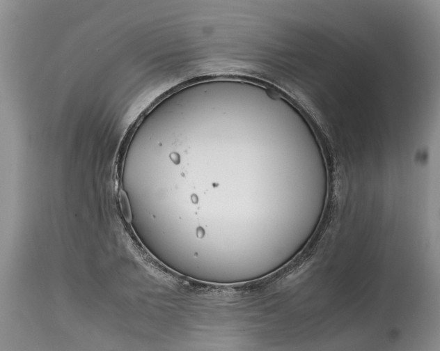 X0000115000885200911091355