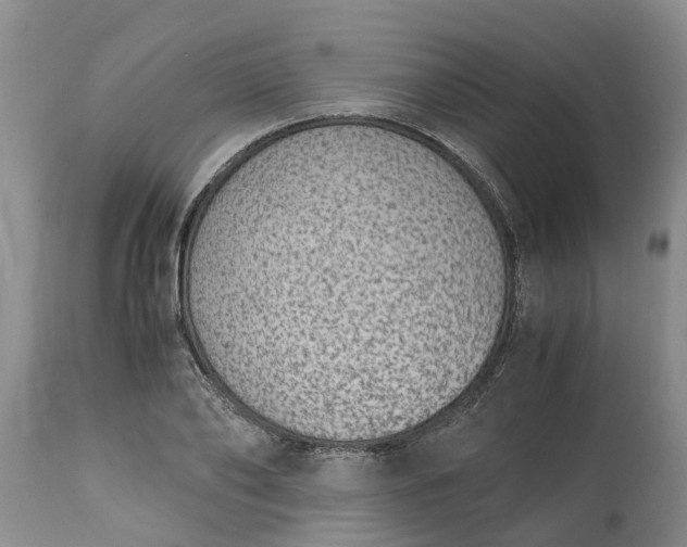 X0000115000886200911091355