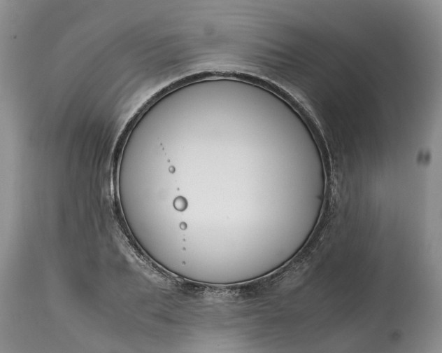 X0000115000887200911091355
