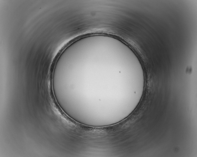 X0000115000888200911091355