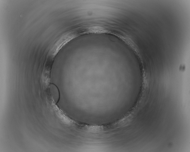 X0000115000889200911091355