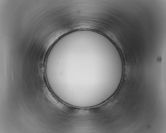 X0000115000890200911091355