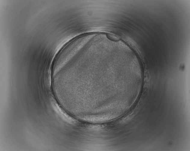 X0000115000892200911091355