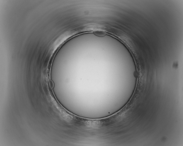 X0000115000893200911091355