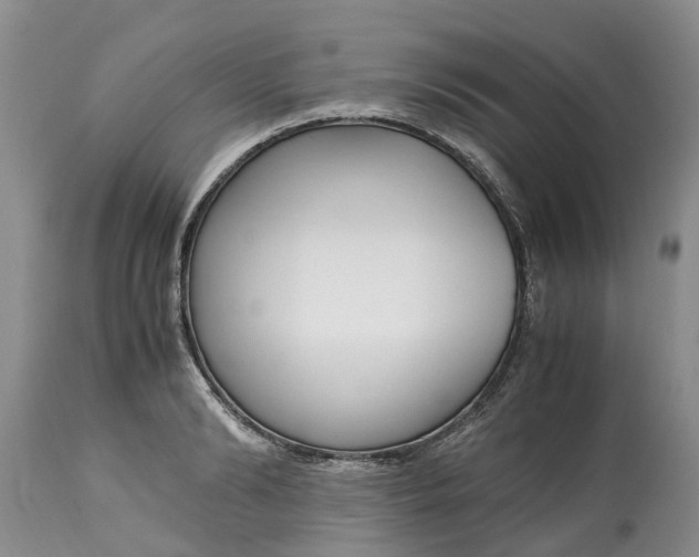 X0000115000894200911091355