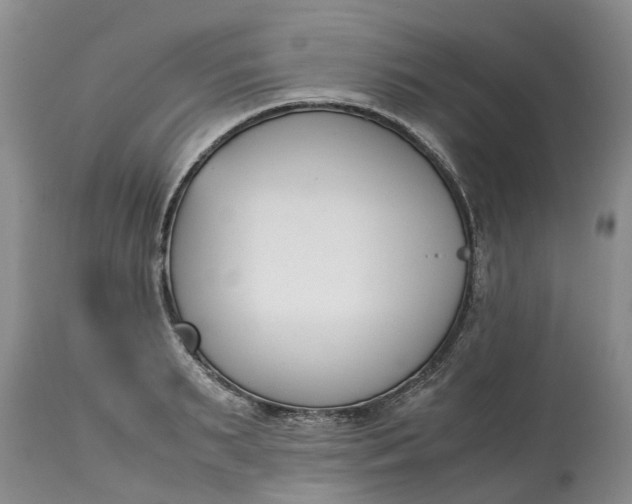 X0000115000895200911091355