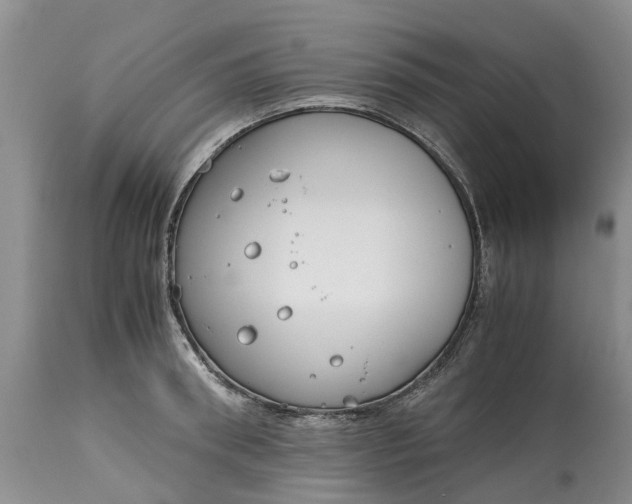 X0000115000898200911091355