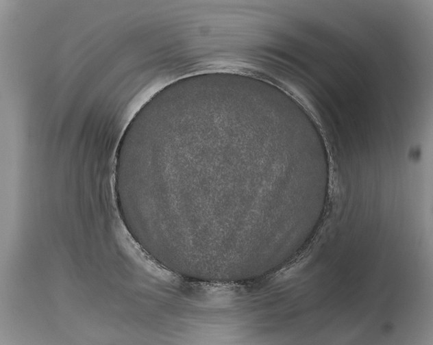 X0000115000899200911091355