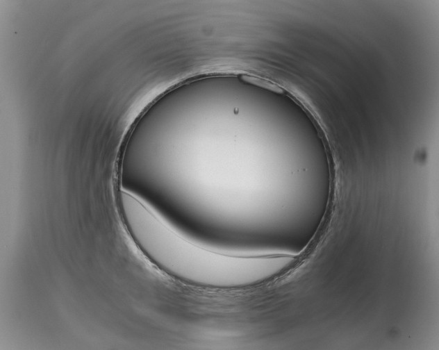 X0000115000901200911091355