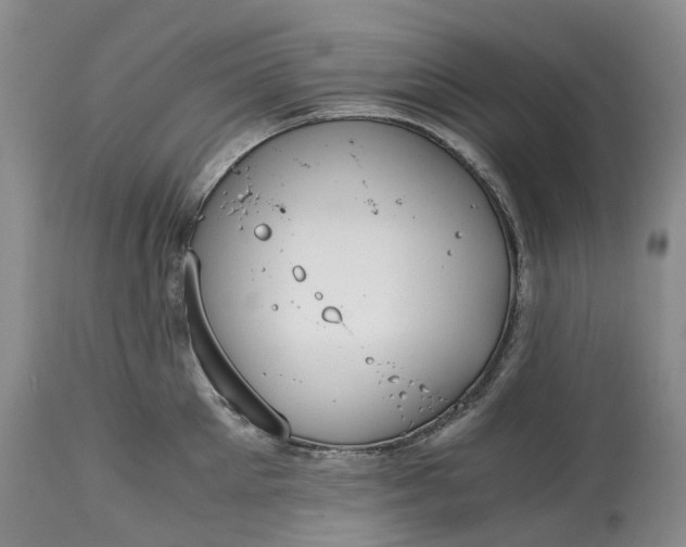 X0000115000905200911091355