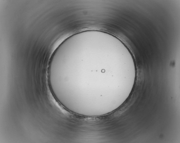 X0000115000906200911091355
