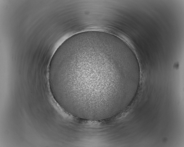 X0000115000907200911091355