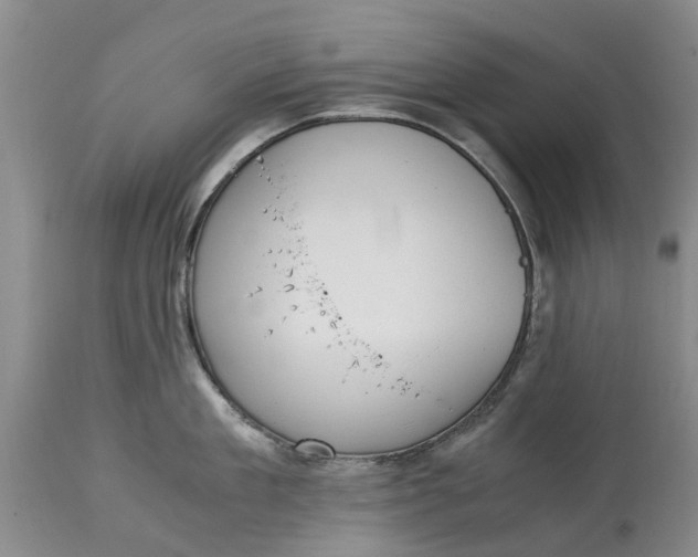 X0000115000909200911091355