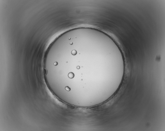 X0000115000910200911091355