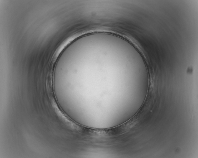 X0000115000911200911091355