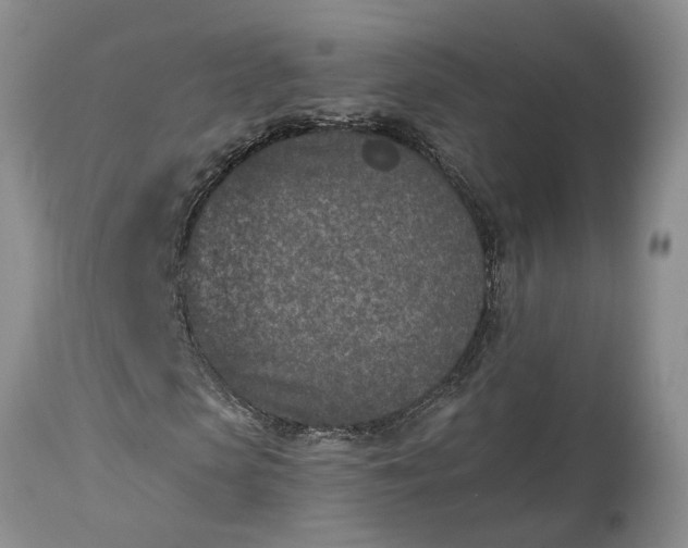 X0000115000913200911091354