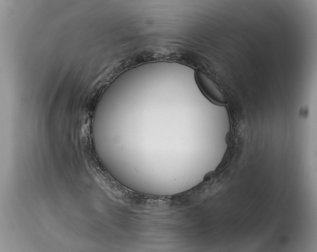 X0000115000914200911091354