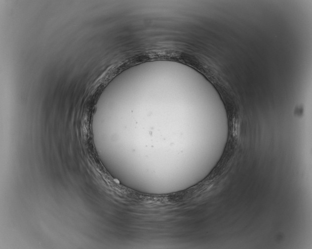 X0000115000915200911091354