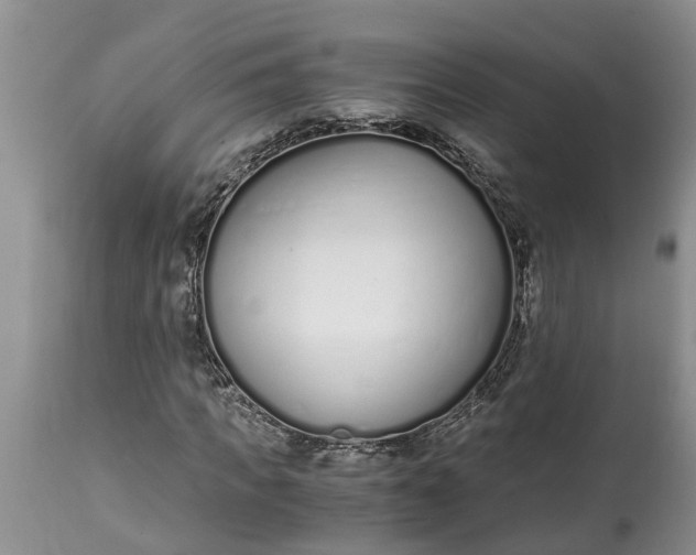 X0000115000917200911091354