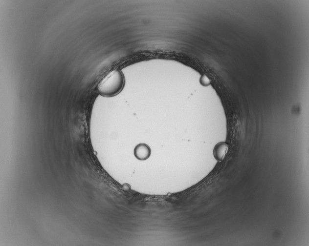 X0000115000918200911091354