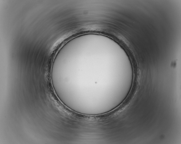X0000115000922200911091354
