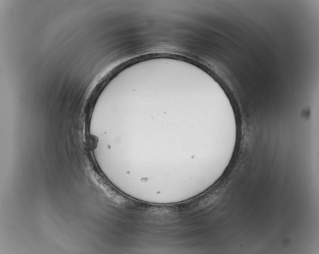 X0000115000931200911091355