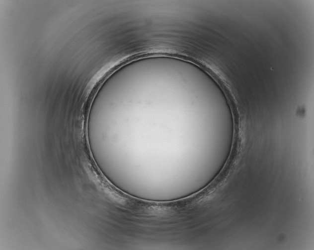 X0000115000933200911091355