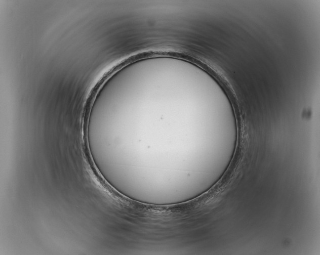 X0000115000935200911091355