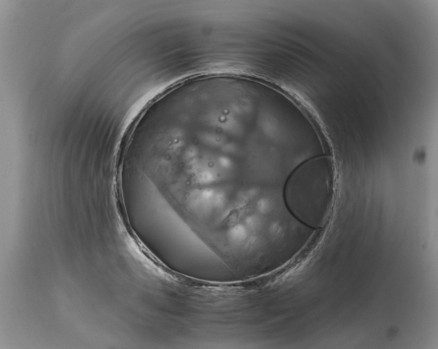 X0000115000941200911091355