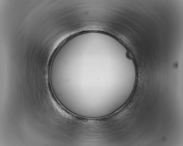 X0000115000942200911091355