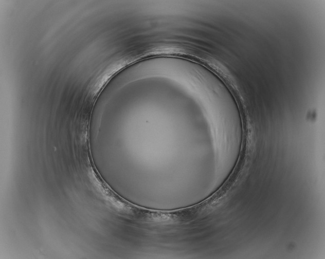 X0000115000945200911091355