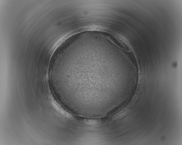 X0000115000946200911091355