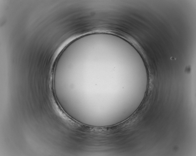 X0000115000955200911091355