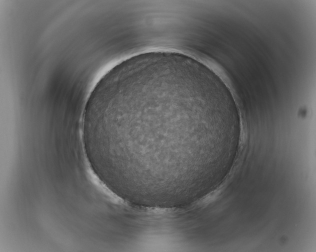 X0000115000958200911091355