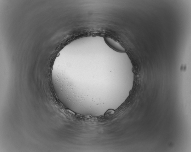 X0000115000961200911091354