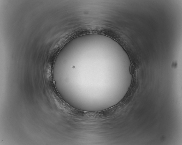 X0000115000963200911091354