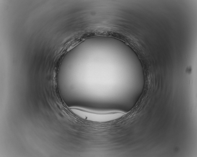 X0000115000964200911091354