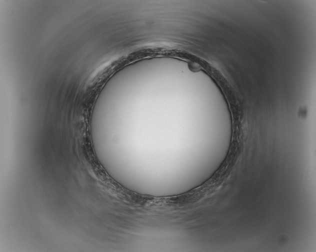 X0000115000967200911091354