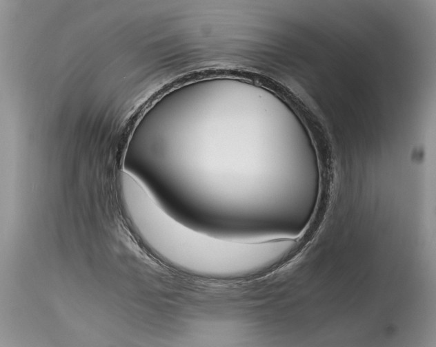 X0000115000969200911091354