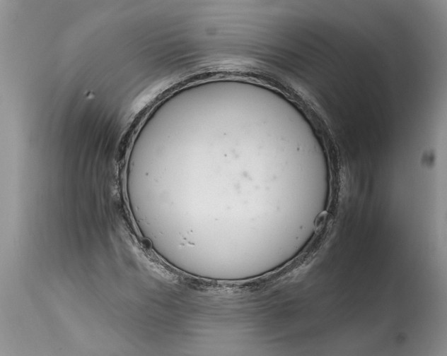 X0000115000970200911091354
