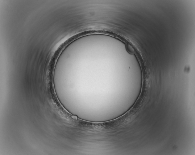 X0000115000975200911091354