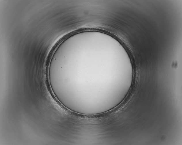X0000115000976200911091354