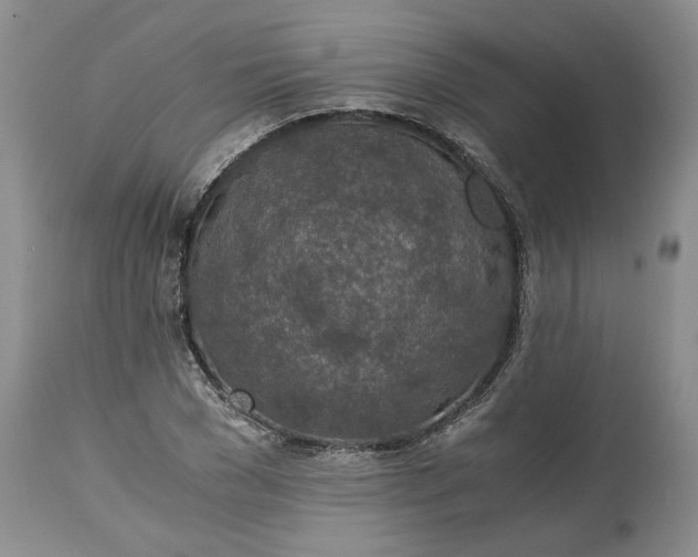 X0000115000977200911091354