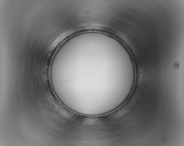 X0000115000978200911091354