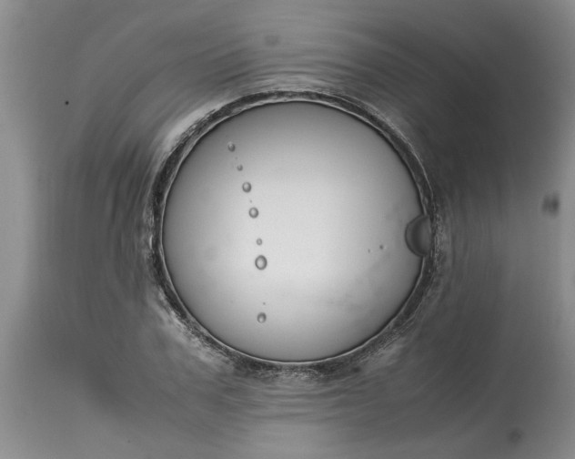 X0000115000979200911091354
