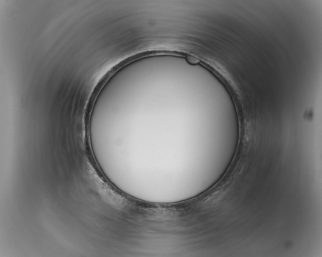 X0000115000980200911091354