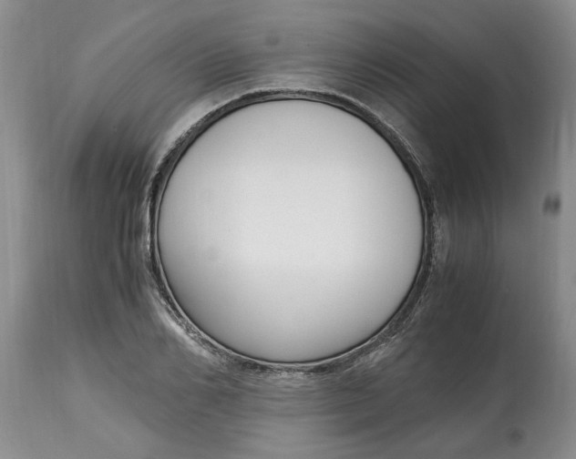 X0000115000982200911091354