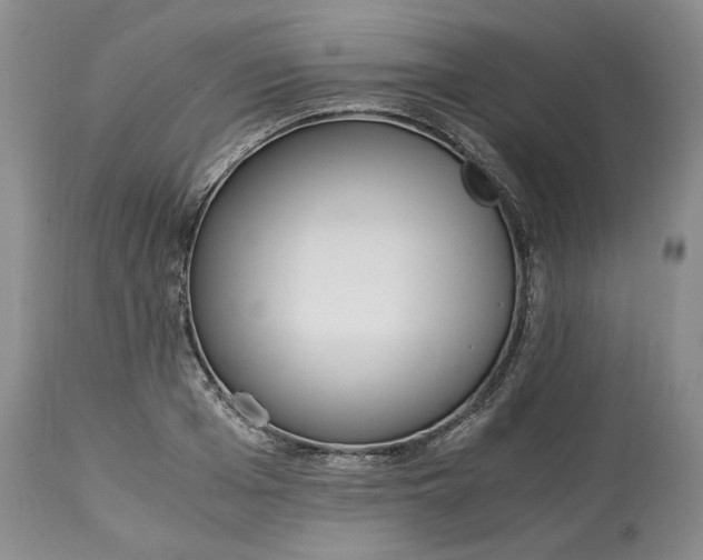 X0000115000985200911091354