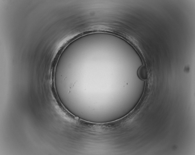 X0000115000987200911091354
